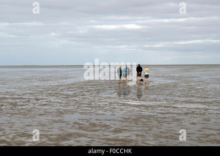 Wattwanderung, Wattenmeer, Nordseeküsten Stockfoto