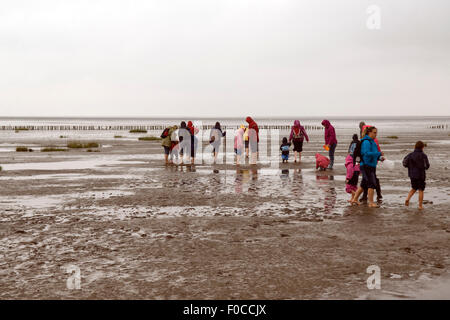 Wattwanderung, Wattenmeer, Nordseeküsten Stockfoto