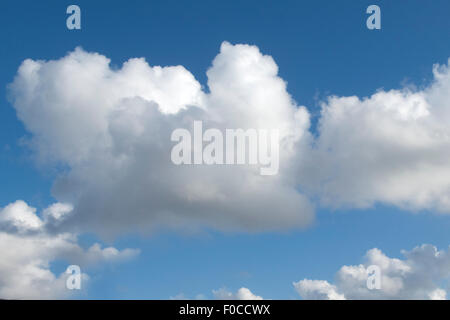 Wolken, Blau Konvektionswolken Stockfoto