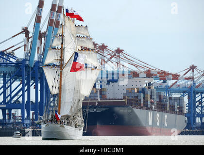 Bremerhaven, Deutschland. 12. August 2015. Die ersten Großsegler lag bereit für den 9. internationalen Windjammer Sail Festival 2015 im Hafen von Bremerhaven, Deutschland, 12. August 2015. Das Segel Treffen findet vom 12.-16. August 2015. Hier werden Crew-Mitglieder von der chilenischen Viermst-Barkentine "Esmeralda" in die Segel gesehen, wie sie den Container terminal in Bremerhaven passieren. Beteiligung werden at Festival 270 traditionelle Segelschiffe aller Größen aus der ganzen Welt. Bildnachweis: Dpa picture Alliance/Alamy Live News Stockfoto