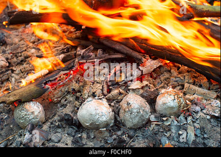 Gebackene Kartoffeln umwickelt mit Alufolie in ein Lagerfeuer rösten. Stockfoto