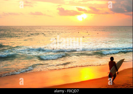 Surfer mit einem Surfbrett am Strand bei Sonnenuntergang. Sri Lanka Stockfoto