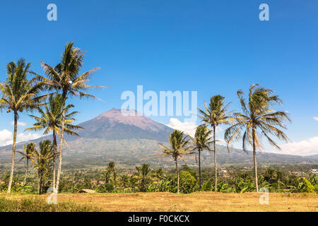 Simbung Vulkan zwischen Wonosobo und Yogjakarta auf dem Weg zum Dieng Plateau in Java in Indonesien. Stockfoto