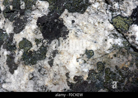 Quarzit-Felsen auf der Stiperstones, Shropshire, England, UK Stockfoto