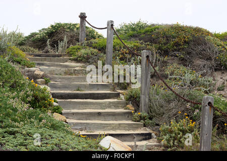 Holztreppen an einer Küste Stockfoto