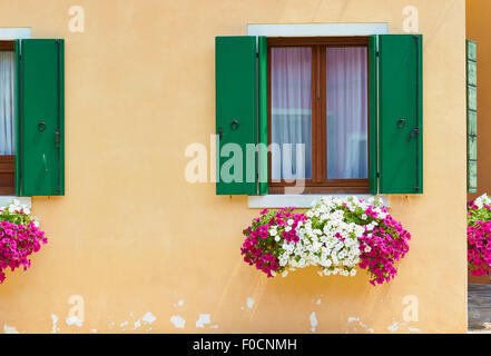Fensterläden und Blumenkästen Burano venezianischen Lagune Veneto Italien Europa Stockfoto