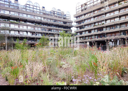 Frische Pflanzen unterhalb der Bunyan und Bryer Gericht auf dem Barbican Estate. Stockfoto
