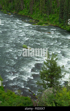 Henrys Fork unter Upper Mesa Falls, Mesa Falls Scenic Byway, Targhee National Forest, Idaho Stockfoto