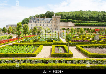 Schlossgarten mit Buchsbaum, Gemüse und Blumen Stockfoto