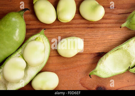 Dicke Bohnen Saubohnen auf Holztisch. Sommergemüse, Hülsenfrüchte. Ansicht von oben. Stockfoto