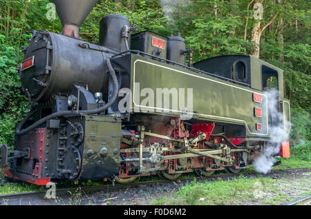 Alte schwarze Dampf betriebene Eisenbahn Zug. Restauriert alte Vintage Dampfzug bei Resita, Rumänien gebaut. Stockfoto