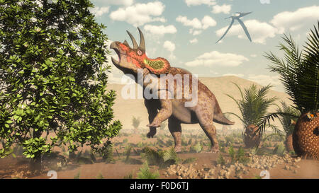 Triceratops auf einen Magnolienbaum neben Cycas grasen. Stockfoto