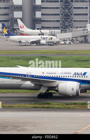 Tokio, Japan. 12. August 2015. Ein ANA-Flugzeug ist in der Nähe von Skymark und JAL Flugzeuge am Flughafen Tokio-Haneda auf 12. August 2015, Tokyo, Japan gesehen. Gläubiger der Skymark Airlines Inc. genehmigt eine Rehabilitation Plan unterstützt durch ANA Holdings Inc. am 5. August Ablehnung eines Angebots von Delta Air Lines Inc. ANA Holdings Inc hat zugesagt, eine 19,9 Prozent der Bankrott Budget Fluggesellschaft Skymark Airlines Inc. zu erwerben und dazu beitragen, um Japans drittgrößte Fluggesellschaft zu rehabilitieren. Bildnachweis: Aflo Co. Ltd./Alamy Live-Nachrichten Stockfoto