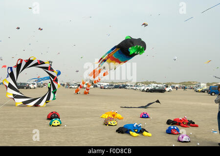 Appartementblocks, Grossdrachen, Winddrachen Stockfoto