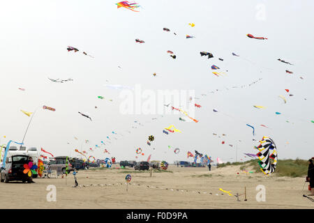 Appartementblocks, Grossdrachen, Winddrachen Stockfoto