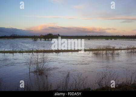 Überfluteten Ackerland in der Nähe von York November 2012 Stockfoto