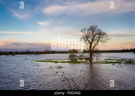 Überfluteten Ackerland in der Nähe von York November 2012 Stockfoto