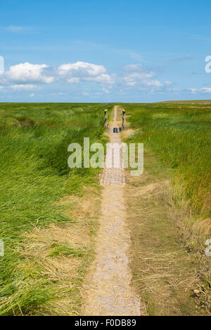 Historische Route Stockenstieg oder Stockensteig, vom Leuchtturm Westerhever zum Deich durch die Salzwiesen, Stockfoto