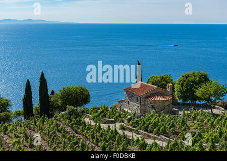 Steinhaus zwischen Weinbergen, mit Blick auf das Meer, Insel Elba, Livorno, Toskana, Italien Stockfoto