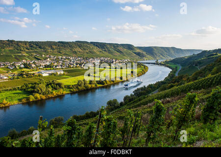 Kreuzfahrtschiff auf dem Fluss, in der Nähe von Wintrich, Mosel Moseltal, Rheinland-Pfalz, Deutschland Stockfoto