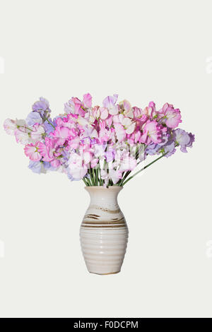 Vase mit Sweet Pea Blumen auf weißem Hintergrund Stockfoto