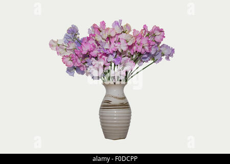 Vase mit Sweet Pea Blumen auf weißem Hintergrund Stockfoto