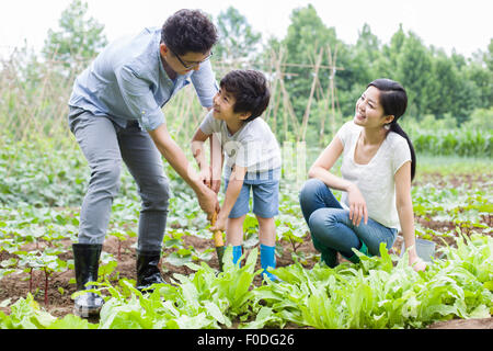 Junge Familie im Garten zusammen Stockfoto