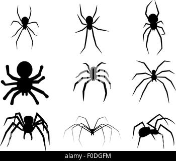 Satz von schwarze Silhouette Spinne Symbol isoliert auf weißem Hintergrund Stock Vektor