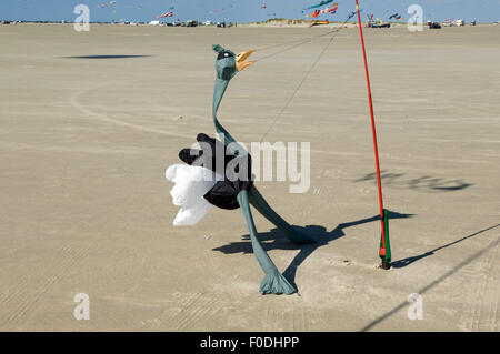 Bodenwindspiele, Vogel Strauss Stockfoto