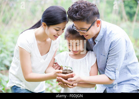 Junge Familie zusammenhält einen Sämling Stockfoto