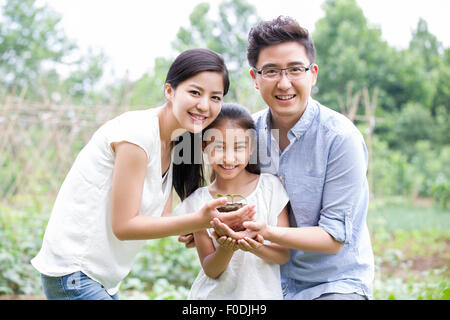 Junge Familie zusammenhält einen Sämling Stockfoto