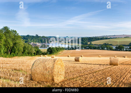 Heuballen zur Erntezeit in der Cornsih Landschaft Stockfoto