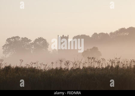 Tamworth Kirchturm im Nebel auf den Norfolk Broads, Norfolk, Großbritannien Stockfoto