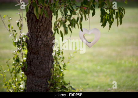 Eine Herz-Form-Laterne an einen Baum hängen Stockfoto