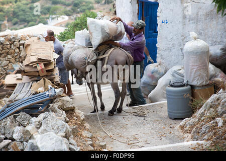 Esel als Transportmittel für Baustoffe und Güter in Griechenland Stockfoto