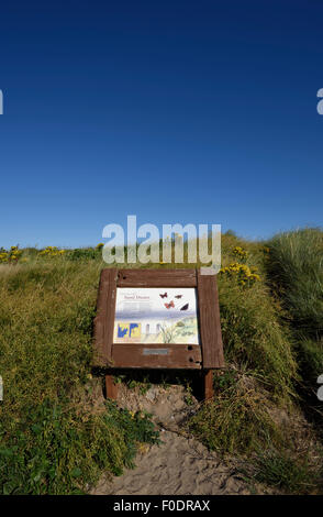 Zeichen Darstellung der heimischen Tierwelt vor der Sanddünen am Strand in Fleetwood, Lancashire, Großbritannien Stockfoto