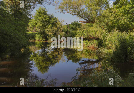 Lymington Fluß im Frühsommer. Schöne Spiegelungen im Wasser Stockfoto