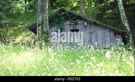 Holzhütte im Wald oberhalb von See Como, Italien Stockfoto