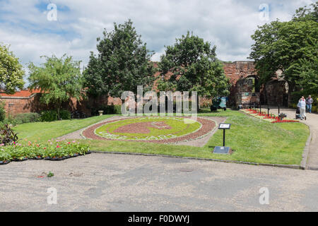 Blumenbeet Anordnung Anerkennung der Rolle der Tiere im 1. Weltkrieg auf dem Gelände des Shrewsbury Castle Stockfoto