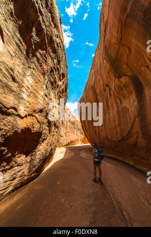 Dry Fork Narrows der Coyote Gulch Stockfoto