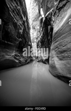Wasser in den Slot Canyon vertikale Zusammensetzung Utah Stockfoto