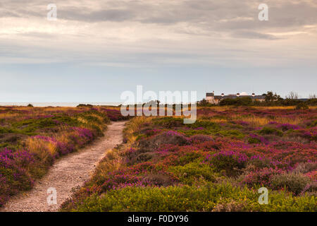 Götterdämmerung am Dunwich Heath Blickrichtung Coastguard Cottages Stockfoto