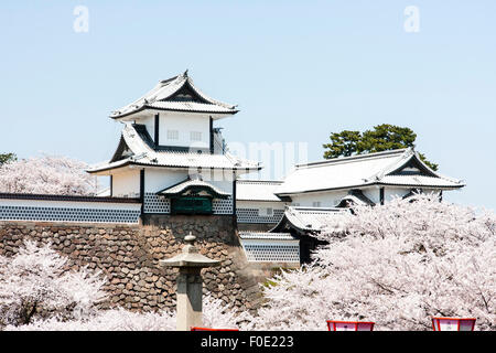 Japan, Kanazawa Castle. TCherry Blüten in voller Blüte um die Ishikawa-mon, das Tor mit der Verteidigung Türmchen, auf beiden Seiten. Blue Sky. Stockfoto