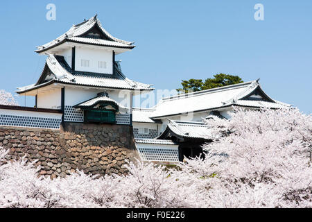 Japan, Kanazawa Castle. TCherry Blüten in voller Blüte um die Ishikawa-mon, das Tor mit der Verteidigung Türmchen, auf beiden Seiten. Blue Sky. Stockfoto