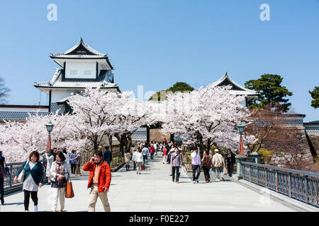 Japan, Kanazawa Castle. Touristische gefüllt Fußgängerbrücke mit der Präfektur Ishikawa-mon, das Tor mit der Verteidigung Türmchen, auf beiden Seiten. Kirschblüten, blauer Himmel. Stockfoto