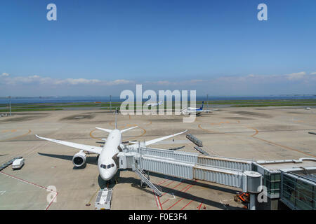 Flugzeuge am Flughafen Tokio-Haneda in Japan Stockfoto