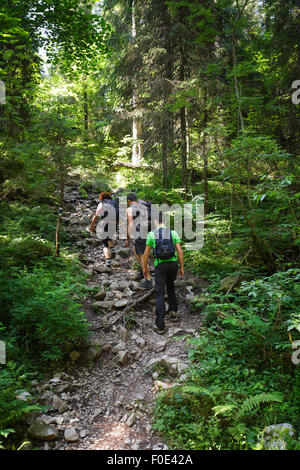 Eine Familie von Wanderer bergauf auf einem steilen Pfad in den Wald Stockfoto