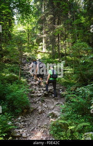 Eine Familie von Wanderer bergauf auf einem steilen Pfad in den Wald Stockfoto