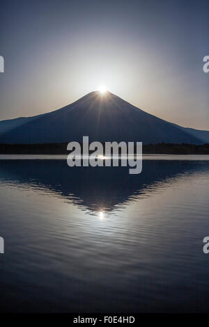 Mt. Fuji Amd See Tanuki in Japan Stockfoto