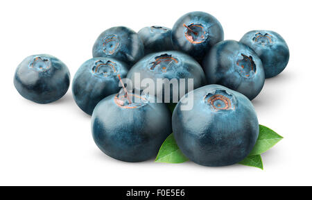 Frische Heidelbeeren, isoliert auf weiss Stockfoto